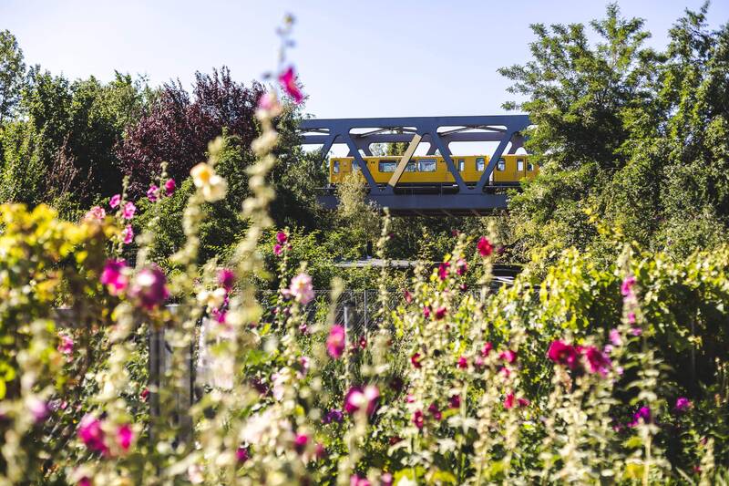 Urbaner Naturgenuss: Ein Streifzug durch den Park am Gleisdreieck