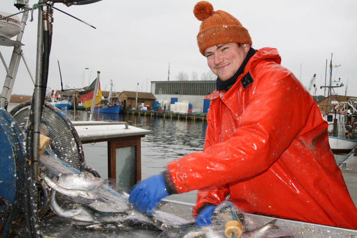 Start der Heringssaison auf Berliner Fischmarkt
