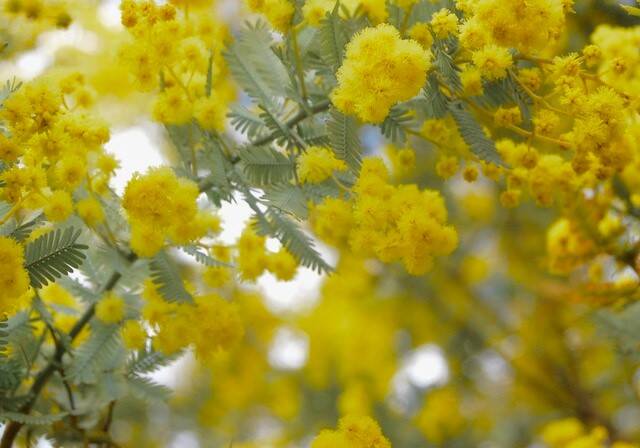 Blumenvasen verzieren | Basteln