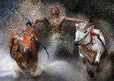 World Press Photo Ausstellung 2013 im Berliner Ostbahnhof