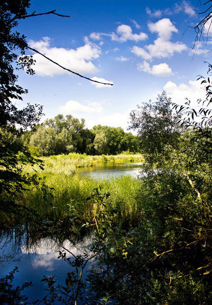Führung "Vom Volkspark Prenzlauer Berg zum Faulen See"