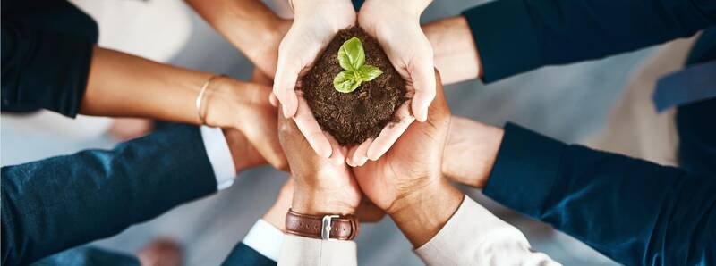 Social Entrepreneurship: Gesellschaftliche Verantwortung ist unternehmerisches Kapital