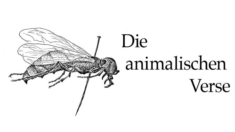 Buchpremiere: Die animalischen Verse @ Periplaneta Berlin
