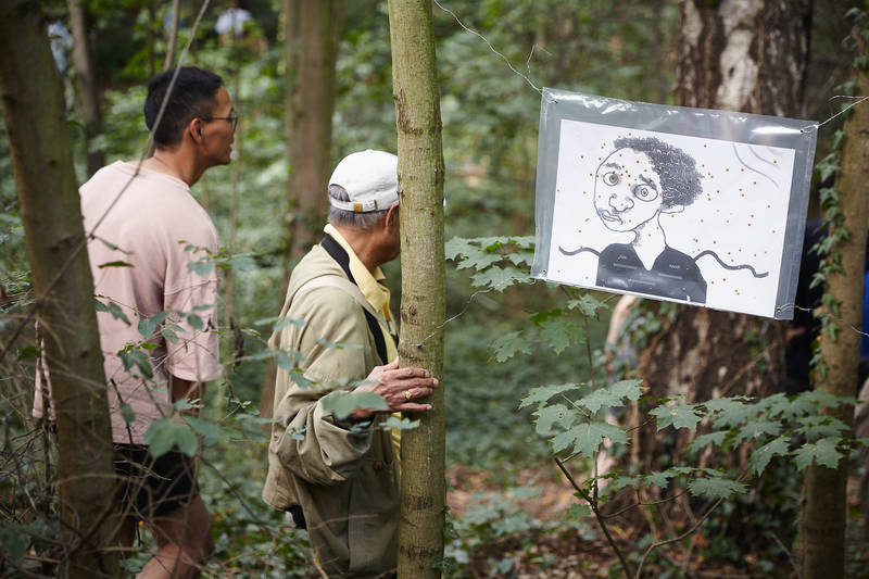 STONEROSES Waldspaziergang