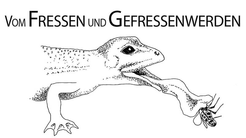 Lesung: Anni Kaufhold