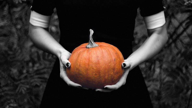 Halloween-Lesung @ Periplaneta Berlin
