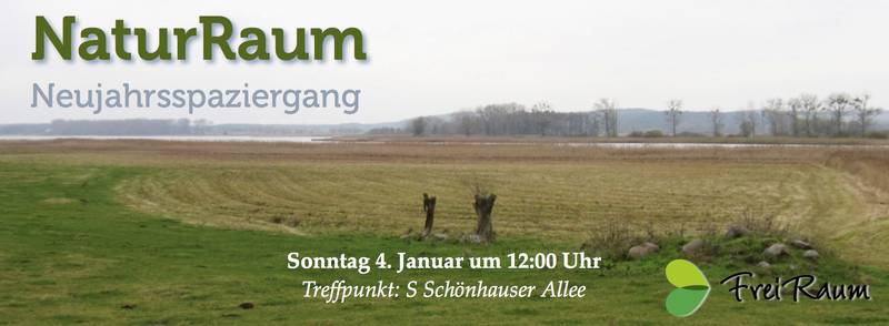 NaturRaum: Neujahrsspaziergang in das Oderbruch