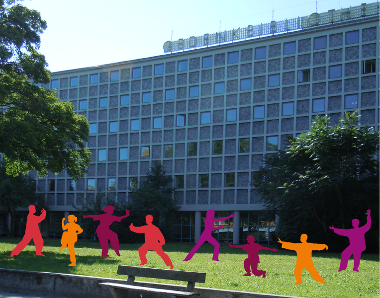 Tai Chi in der Bibliothek