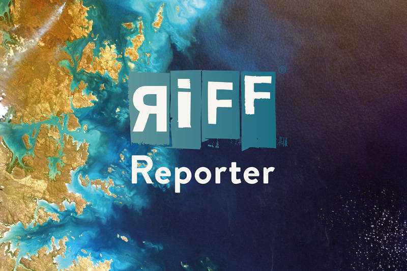 RiffReporter@ZLB - Sie fragen - Journalist*innen antworten