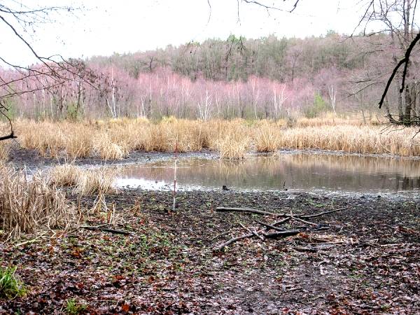 Wanderung um den Herrensee