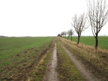 Feld-, Wald-, Seenwanderung von Ahrensfelde nach Hönow
