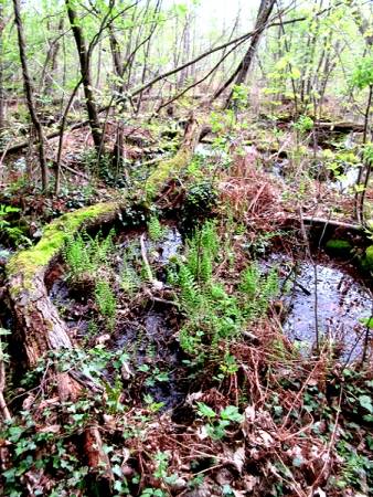 Wanderung von Erkner nach Rüdersdorf