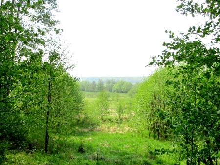 Wanderung von Strausberg nach Rüdersdorf