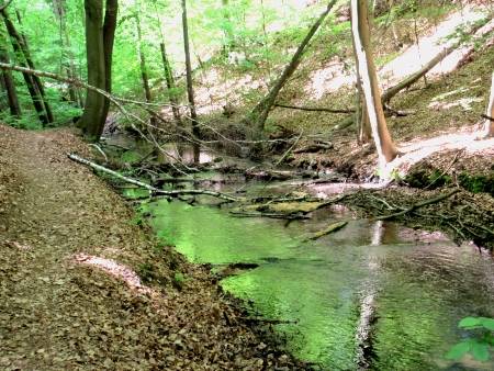 Wanderung von Biesenthal nach Wandlitz