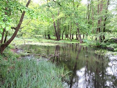 Pfingstsonntag - Wanderung von Biesenthal nach Rüdnitz