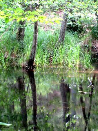 Pfingstmontag - Wanderung von Birkenwerder nach Wensickendorf