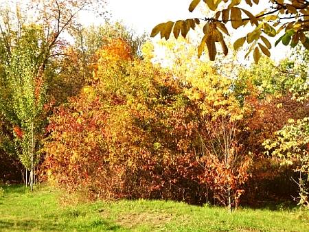 Fahrradtour durch das herbstliche Neukölln