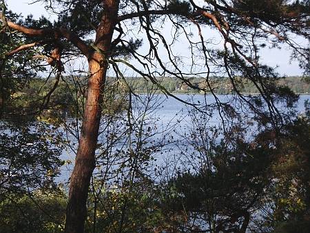 Herbst-Wanderung von Wannnsee nach Charlottenburg