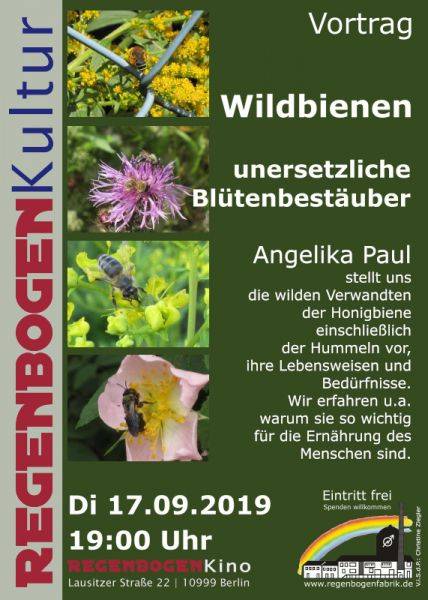 "Wildbienen - unersetzliche Blütenbestäuber" - Vortrag im RegenbogenKino