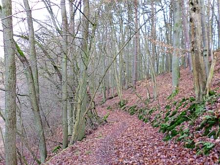 Wanderung um die Lattseen und den Ihlandsee