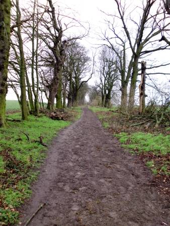 Wanderung von Rahnsdorf nach Hirschgarten