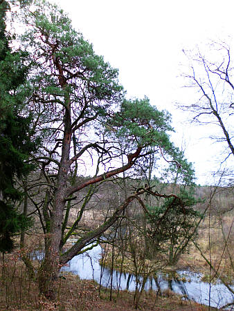 Wanderung von Erkner nach Woltersdorf