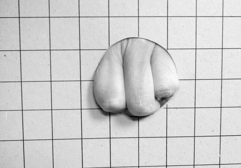 Ausstellung: Fenster Türen Wände