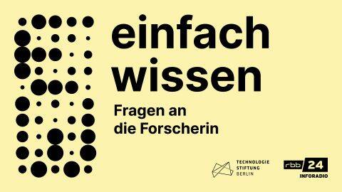 Einfach Wissen: Die Zukunft des offenen Wissens