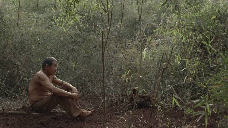 Pop-Up Cinema #16: Damiana Kryygi
