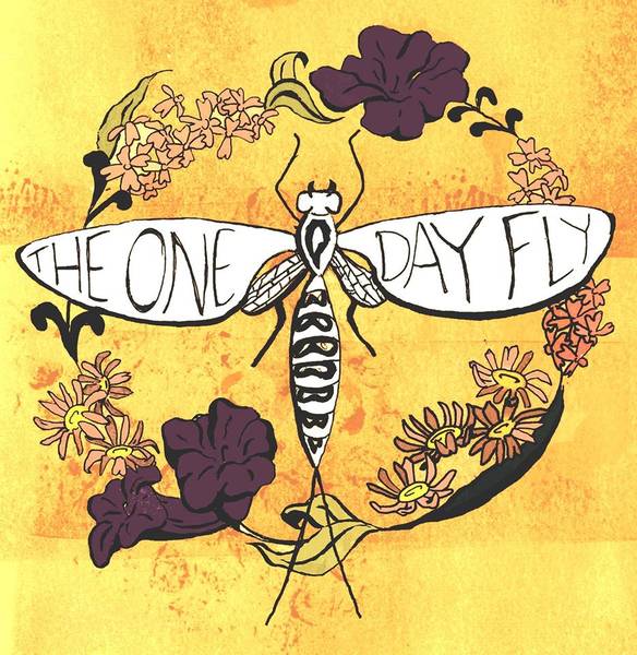 Konzert: The One Day Fly