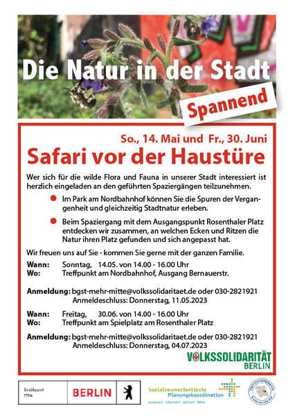 Zum Muttertag - Die Natur in der Stadt - geführter Spaziergang