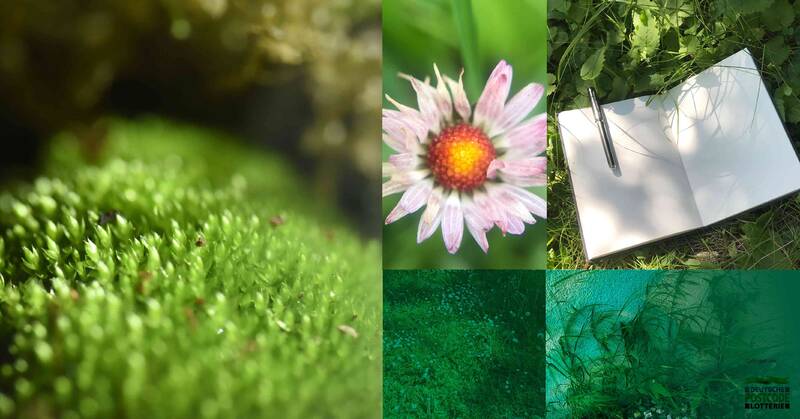 Natur in der Stadtmitte - Ein Schreibworkshop 