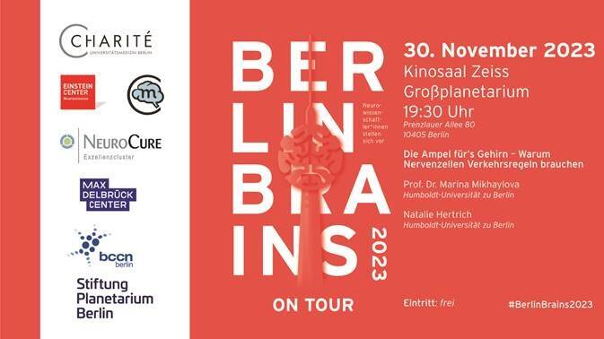 Berlin Brains Teil II: Die Ampel fürs Gehirn – Warum Nervenzellen Verkehrsregeln brauchen