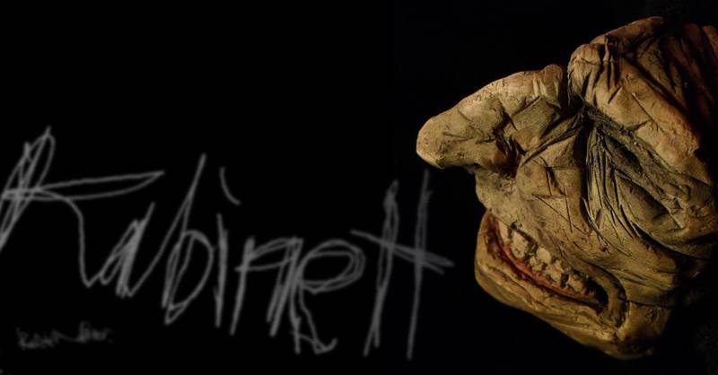 Kabinett de curiosité - ART SHOW