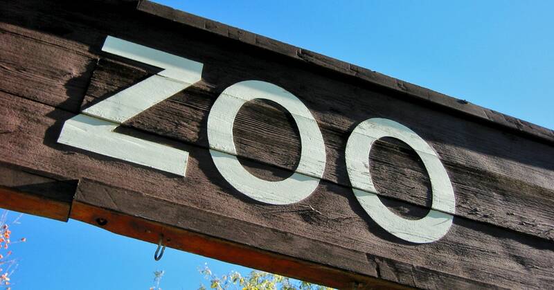 Zoo-Ausflug mit Kindern und Familien des Heim im Kiez