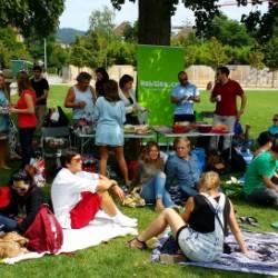 International food picnic