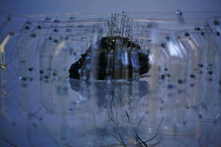 Austellung: Ralf Baecker - IRRATIONAL COMPUTING 