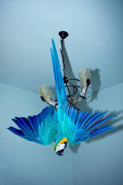 Vernissage Feng Li – White Night