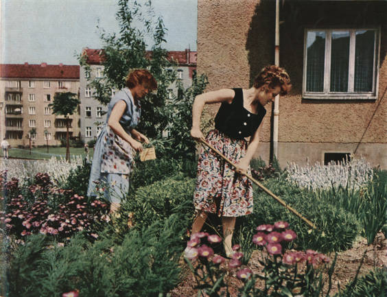 Natur entdecken in Pankow, Prenzlauer Berg und Weißensee