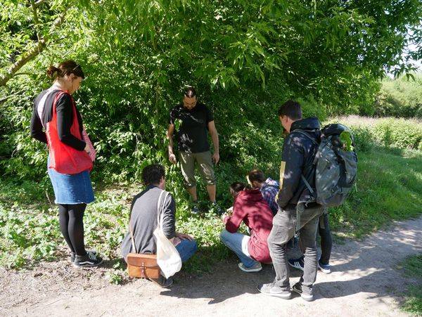 Herbstliche Wildkräuterwanderung durch den Volkspark Prenzlauer Berg