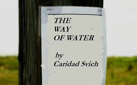 The Way of Water   