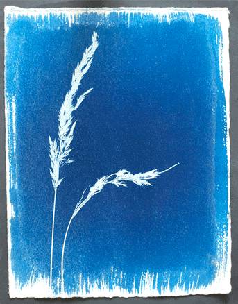Analoge Fotografie! Kostenlose Workshops am 1., 2. und 3. Juni