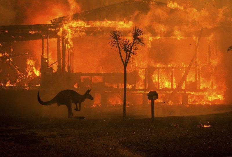 Bush fire catastrophe. Why is Australia burning?