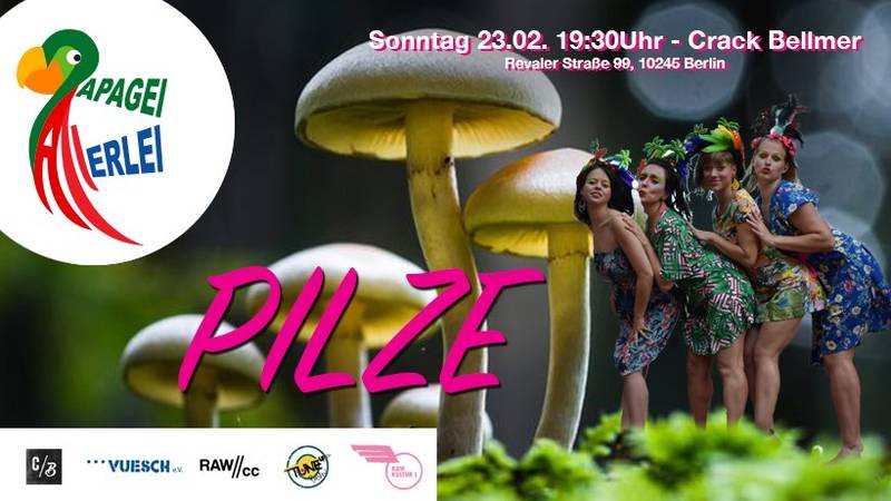 Papagei Allerlei Varieté: PILZE