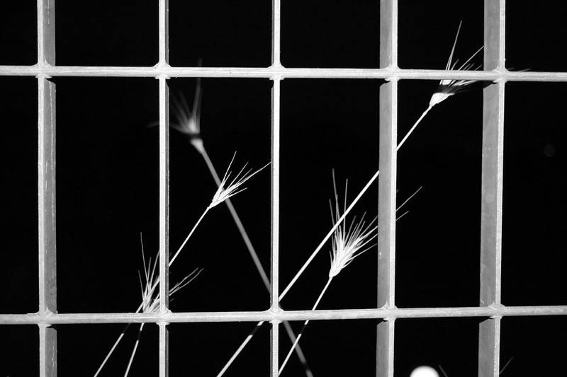 Austausch: Aus dem Gefängnis in die Freiheit - ein Gespräch mit ehemaligen