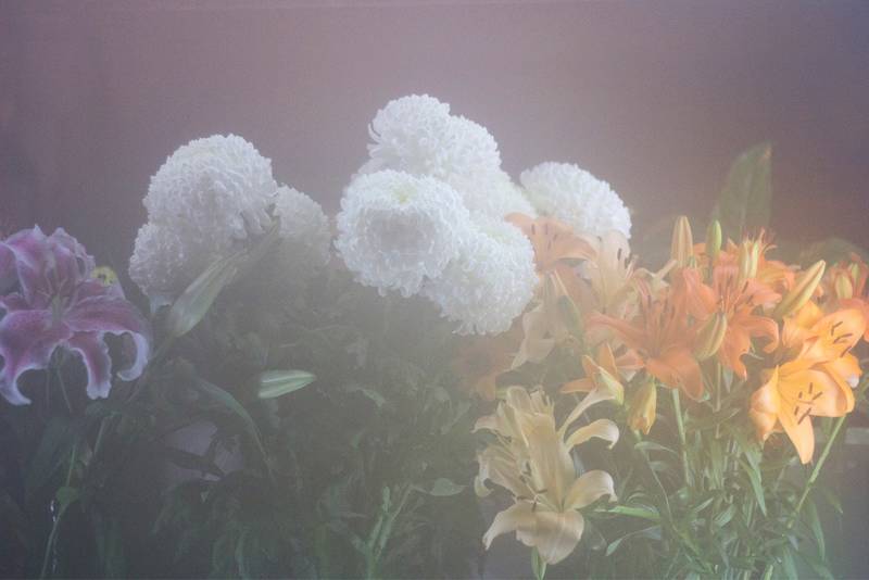 Ausstellungseröffnung , 28.September, 18h-22h, Erika Bernhardt