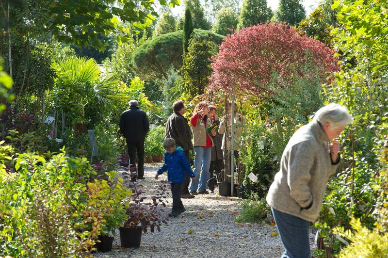 Garten- und Obsttage bei der Baumschule Lorberg 