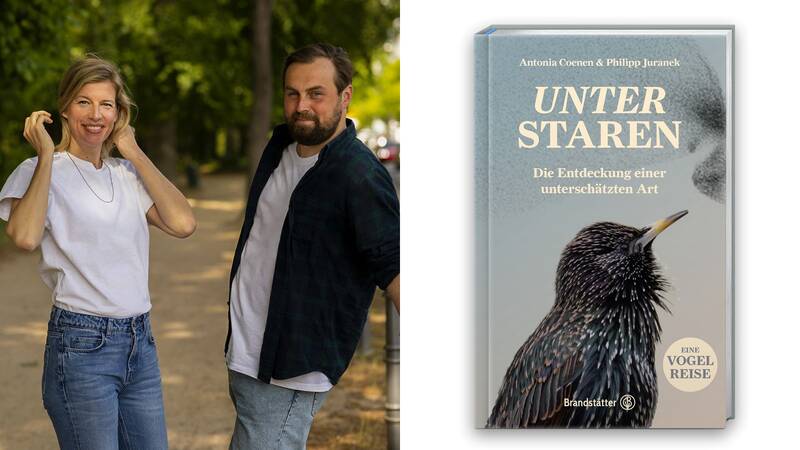 Unter Staren - Die Entdeckung einer unterschätzten Art (Vogelspaziergang + Lesung)