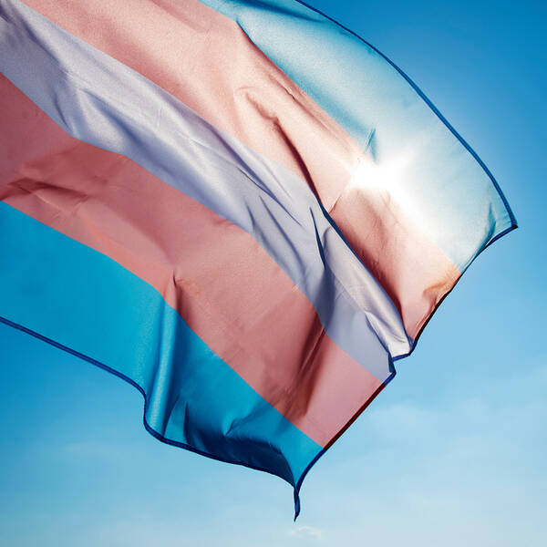 Trans Day of Remembrance / Tag der Erinnerung an die Opfer von Trans*feindlichkeit