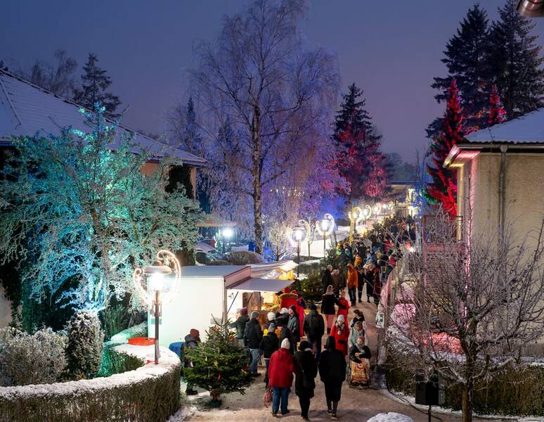 Adventsbasar der Vielfalt bei der Albert Schweitzer Stiftung – Wohnen & Betreuen